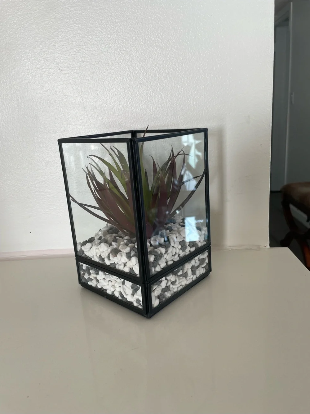 Crate&Barrel Black Glass Terrarium with Burgundy and Green Faux Plant